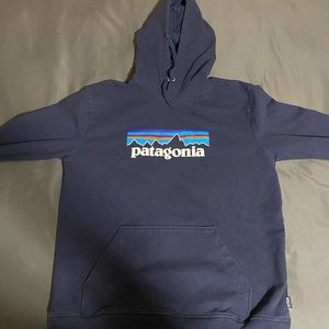 Blue Patagonia hoodie